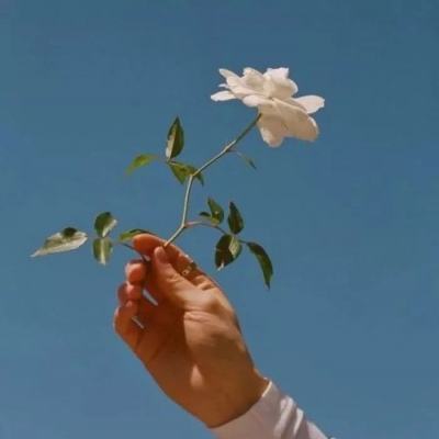 探案笔记游戏下载